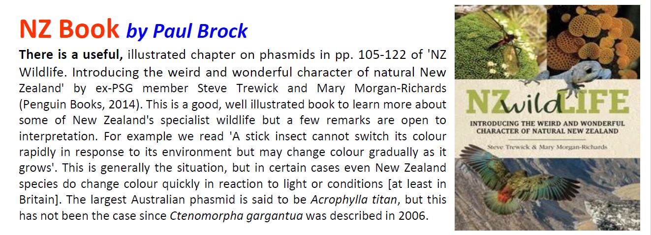 NZ Wildlife Review